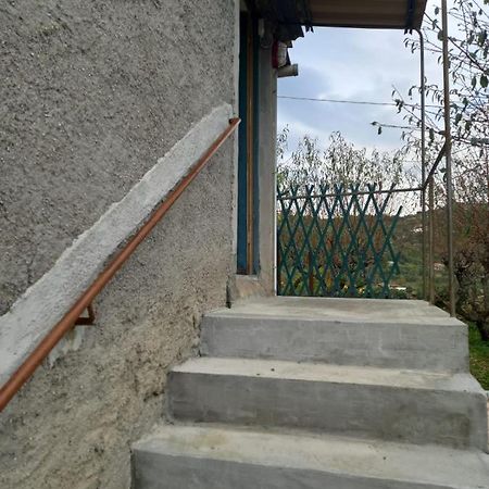 Casa Vita Leilighet Vallebona Eksteriør bilde