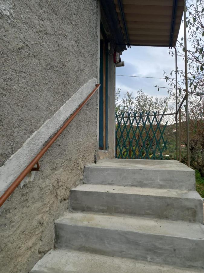Casa Vita Leilighet Vallebona Eksteriør bilde