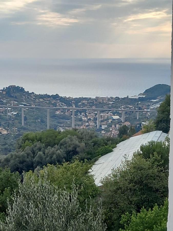Casa Vita Leilighet Vallebona Eksteriør bilde